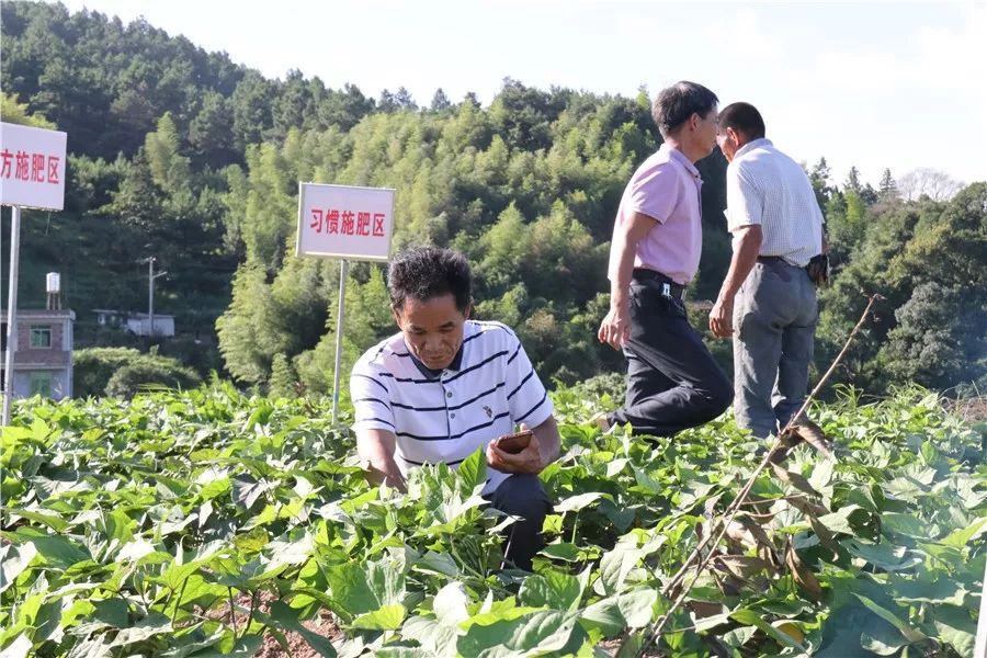 生物农药与肥料，农业发展的绿色之路